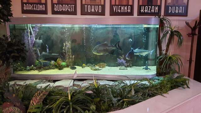 Гостиница Бизнес-отель Татарстан Набережные Челны-169